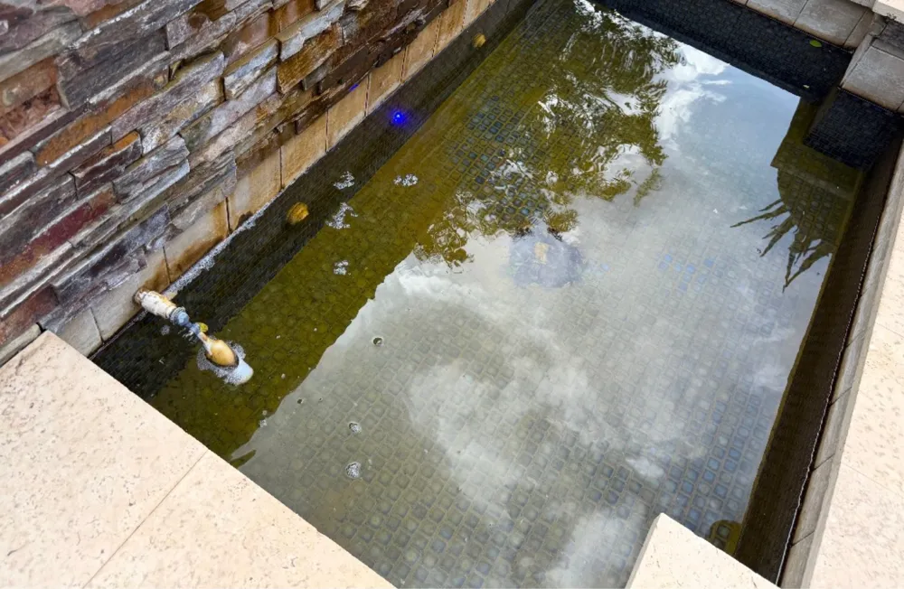 Water feature with green, murky water before Schell Shock cleaned it
