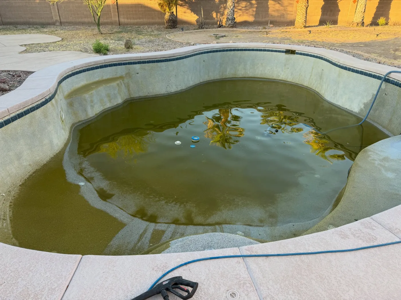 Green pool cleanup in San Tan Valley