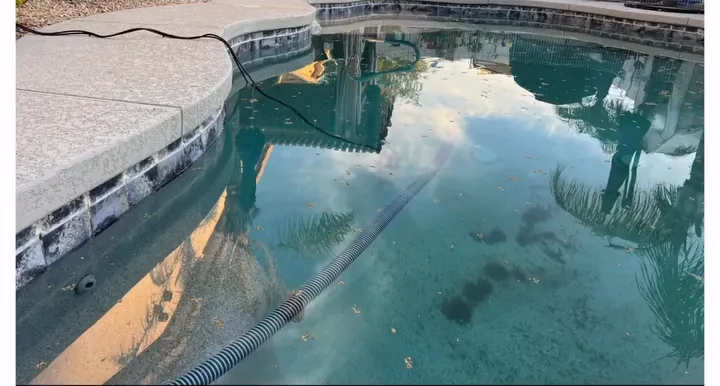Cloudy green pool before cleaning